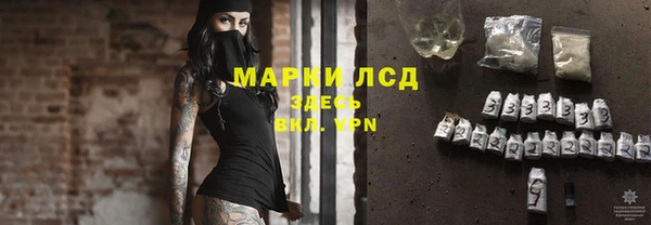 ПСИЛОЦИБИНОВЫЕ ГРИБЫ Алзамай