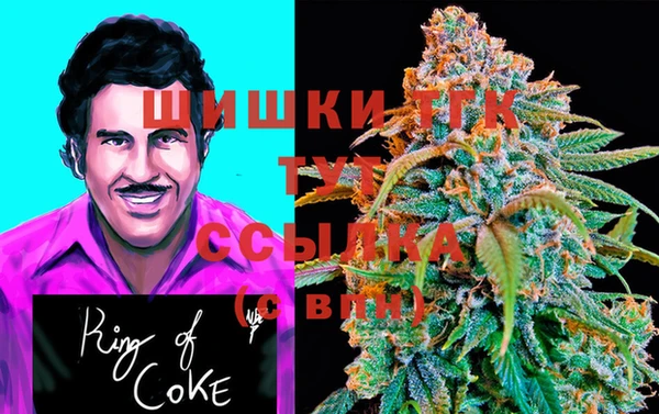 ПСИЛОЦИБИНОВЫЕ ГРИБЫ Алзамай