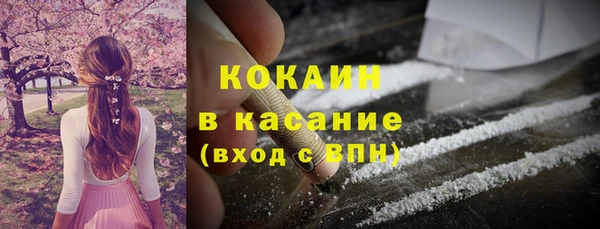 ПСИЛОЦИБИНОВЫЕ ГРИБЫ Алзамай
