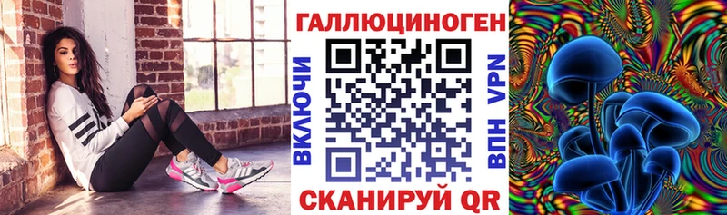 Галлюциногенные грибы Cubensis  даркнет сайт  Волгоград 