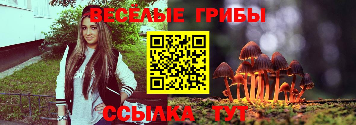 как найти закладки  Псилоцибиновые грибы Magic Shrooms  Вход с VPN  Волгоград 