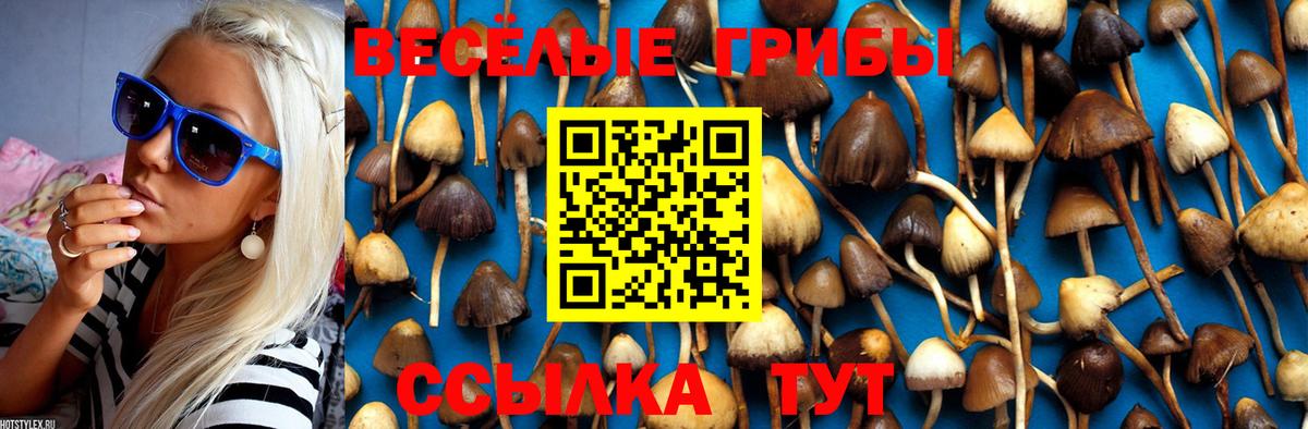 Галлюциногенные грибы Psilocybine cubensis Волгоград