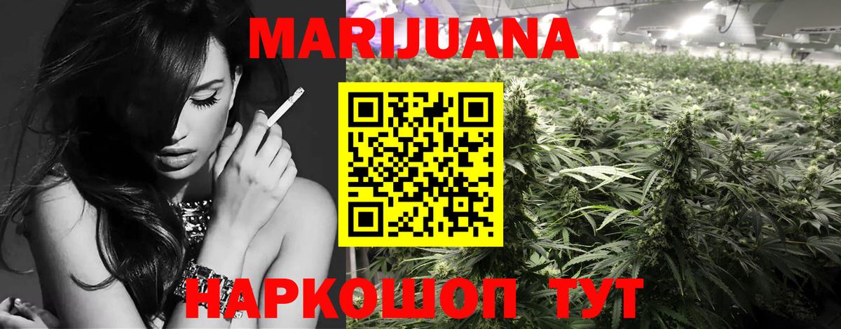 Шишки марихуана конопля Волгоград